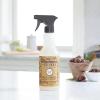 imageMRS MEYERS CLEAN DAY AllPurpose Cleaner Spray Apple Cider 16 Fl ozAcorn Spice