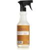 imageMRS MEYERS CLEAN DAY AllPurpose Cleaner Spray Apple Cider 16 Fl ozApple Cider