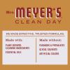 imageMRS MEYERS CLEAN DAY AllPurpose Cleaner Spray Apple Cider 16 Fl ozApple Cider