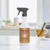 imageMRS MEYERS CLEAN DAY AllPurpose Cleaner Spray Apple Cider 16 Fl ozApple Cider