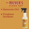 imageMRS MEYERS CLEAN DAY AllPurpose Cleaner Spray Apple Cider 16 Fl ozApple Cider
