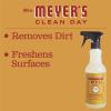 imageMRS MEYERS CLEAN DAY AllPurpose Cleaner Spray Apple Cider 16 fl oz  Pack of 3Apple Cider