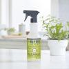 imageMRS MEYERS CLEAN DAY AllPurpose Cleaner Spray Apple Cider 16 fl oz  Pack of 3Lemon Verbena