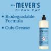 imageMRS MEYERS CLEAN DAY AllPurpose Cleaner Spray Apple Cider 16 fl oz  Pack of 3Rain Water