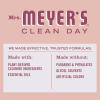 imageMRS MEYERS CLEAN DAY AllPurpose Cleaner Spray Apple Cider 16 fl oz  Pack of 3Rose