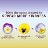 imageMRS MEYERS CLEAN DAY AllPurpose Cleaner Spray Cruelty Free Formula Lemon Verbena 16 fl oz  Pack of 3Compassion Flower