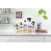 imageMRS MEYERS CLEAN DAY AllPurpose Cleaner Spray Cruelty Free Formula Lemon Verbena 16 fl oz  Pack of 3Compassion Flower