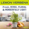 imageMRS MEYERS CLEAN DAY AllPurpose Cleaner Spray Cruelty Free Formula Lemon Verbena 16 fl oz  Pack of 3Lemon Verbena Spray