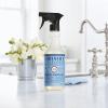 imageMRS MEYERS CLEAN DAY AllPurpose Cleaner Spray Cruelty Free Formula Lemon Verbena 16 fl oz  Pack of 3Rain Water