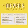 imageMRS MEYERS CLEAN DAY AllPurpose Cleaner Spray Lemon Verbena 16 fl ozDaisy