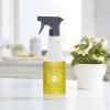 imageMRS MEYERS CLEAN DAY AllPurpose Cleaner Spray Lemon Verbena 16 fl ozDaisy