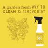 imageMRS MEYERS CLEAN DAY AllPurpose Cleaner Spray Lemon Verbena 16 fl ozDaisy