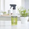 imageMRS MEYERS CLEAN DAY AllPurpose Cleaner Spray Lemon Verbena 16 fl ozLemon Verbena