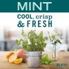 imageMRS MEYERS CLEAN DAY AllPurpose Cleaner Spray Limited Edition Mint 16 fl oz  Pack of 3Mint