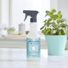 imageMRS MEYERS CLEAN DAY AllPurpose Cleaner Spray Limited Edition Mint 16 fl oz  Pack of 3Mint