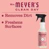 imageMRS MEYERS CLEAN DAY AllPurpose Cleaner Spray Limited Edition Mint 16 fl oz  Pack of 3Rose