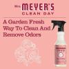 imageMRS MEYERS CLEAN DAY AllPurpose Cleaner Spray Limited Edition Mint 16 fl oz  Pack of 3Rose