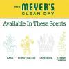 imageMRS MEYERS CLEAN DAY Hand Soap Made with Essential Oils Biodegradable Formula Rain Water 125 fl oz  Pack of 31 Count Pack of 1