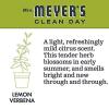 imageMRS MEYERS CLEAN DAY Hand Soap Made with Essential Oils Biodegradable Formula Rain Water 125 fl oz  Pack of 31 Count Pack of 1