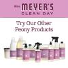 imageMRS MEYERS CLEAN DAY Hand Soap Made with Essential Oils Biodegradable Formula Rain Water 125 fl oz  Pack of 31 Count Pack of 3