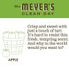 imageMRS MEYERS CLEAN DAY Hand Soap Made with Essential Oils Biodegradable Formula Rain Water 125 fl oz  Pack of 3125 Fl Oz Pack of 1