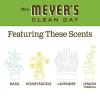 imageMRS MEYERS CLEAN DAY Hand Soap Made with Essential Oils Biodegradable Formula Rain Water 125 fl oz  Pack of 3125 Fl Oz Pack of 1