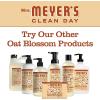 imageMRS MEYERS CLEAN DAY Hand Soap Made with Essential Oils Biodegradable Formula Rain Water 125 fl oz  Pack of 3125 Fl Oz Pack of 1