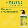 imageMRS MEYERS CLEAN DAY Hand Soap Made with Essential Oils Biodegradable Formula Rain Water 125 fl oz  Pack of 3125 Fl Oz Pack of 1