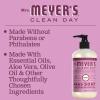 imageMRS MEYERS CLEAN DAY Hand Soap Made with Essential Oils Biodegradable Formula Rain Water 125 fl oz  Pack of 3125 Fl Oz Pack of 3