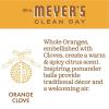 imageMRS MEYERS CLEAN DAY Hand Soap Made with Essential Oils Biodegradable Formula Rain Water 125 fl oz  Pack of 3125 Fl Oz Pack of 3