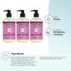imageMRS MEYERS CLEAN DAY Hand Soap Made with Essential Oils Biodegradable Formula Rain Water 125 fl oz  Pack of 3125 Fl Oz Pack of 3