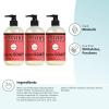 imageMRS MEYERS CLEAN DAY Hand Soap Made with Essential Oils Biodegradable Formula Rain Water 125 fl oz  Pack of 3125 Fl Oz Pack of 3