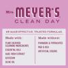 imageMRS MEYERS CLEAN DAY Hand Soap Made with Essential Oils Biodegradable Formula Rain Water 125 fl oz  Pack of 3125 Fl Oz Pack of 6