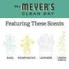 imageMRS MEYERS CLEAN DAY Hand Soap Made with Essential Oils Biodegradable Formula Rain Water 125 fl oz  Pack of 313 Fl Oz Pack of 1