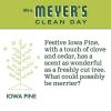 imageMRS MEYERS CLEAN DAY Hand Soap Made with Essential Oils Biodegradable Formula Rain Water 125 fl oz  Pack of 325 Fl Oz Pack of 1