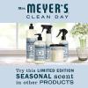 imageMRS MEYERS CLEAN DAY Hand Soap Made with Essential Oils Biodegradable Formula Rain Water 125 fl oz  Pack of 325 Fl Oz Pack of 1