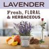 imageMRS MEYERS CLEAN DAY Laundry Detergent Pods Biodegradable Formula Ready to Use Laundry Pacs Lavender 45 Count