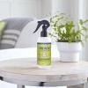 imageMRS MEYERS CLEAN DAY Lavender Air Freshener Spray for Bathrooms Aromatherapeutic Homekeeping with Essential Oils NonAerosol GardenInspired Scent 8 fl oz Pack of 38 Fl Oz Pack of 3