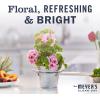 imageMRS MEYERS CLEAN DAY Lavender Air Freshener Spray for Bathrooms Aromatherapeutic Homekeeping with Essential Oils NonAerosol GardenInspired Scent 8 fl oz Pack of 38 Fl Oz Pack of 1