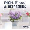 imageMRS MEYERS CLEAN DAY Lavender Air Freshener Spray for Bathrooms Aromatherapeutic Homekeeping with Essential Oils NonAerosol GardenInspired Scent 8 fl oz Pack of 38 Fl Oz Pack of 2