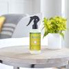imageMRS MEYERS CLEAN DAY Lavender Air Freshener Spray for Bathrooms Aromatherapeutic Homekeeping with Essential Oils NonAerosol GardenInspired Scent 8 fl oz Pack of 38 Fl Oz Pack of 3