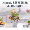 imageMRS MEYERS CLEAN DAY Lavender Air Freshener Spray for Bathrooms Aromatherapeutic Homekeeping with Essential Oils NonAerosol GardenInspired Scent 8 fl oz Pack of 38 Fl Oz Pack of 3