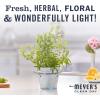 imageMRS MEYERS CLEAN DAY Lavender Air Freshener Spray for Bathrooms Aromatherapeutic Homekeeping with Essential Oils NonAerosol GardenInspired Scent 8 fl oz Pack of 38 Fl Oz Pack of 6