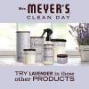 imageMRS MEYERS CLEAN DAY Lavender Air Freshener Spray for Bathrooms Aromatherapeutic Homekeeping with Essential Oils NonAerosol GardenInspired Scent 8 fl oz Pack of 38 Fl Oz Pack of 1