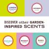 imageMRS MEYERS CLEAN DAY Lavender Air Freshener Spray for Bathrooms Aromatherapeutic Homekeeping with Essential Oils NonAerosol GardenInspired Scent 8 fl oz Pack of 38 Fl Oz Pack of 3