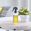 imageMRS MEYERS CLEAN DAY Lemon Verbena Air Freshener Spray for Bathrooms Aromatherapeutic Homekeeping with Essential Oils NonAerosol GardenInspired Scent 8 fl oz Pack of 1Daisy