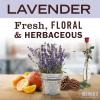 imageMRS MEYERS CLEAN DAY Liquid Dish Soap Biodegradable Formula Lemon Verbena 16 fl oz  Pack of 3Lavender