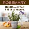 imageMRS MEYERS CLEAN DAY Liquid Hand Soap Cruelty Free and Biodegradable Formula Rosemary Scent 125 oz Pack of 3Rosemary