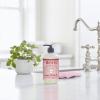 imageMRS MEYERS CLEAN DAY Liquid Hand Soap CrueltyFree and Biodegradable Hand Wash Made with Essential Oils Lemon Verbena Scent 125 Oz Pack of 3Peppermint