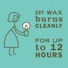 imageMRS MEYERS CLEAN DAY Soy Tin Candle 12 Hour Burn Time Made with Soy Wax and Essential Oils Lavender 29 OzBasil